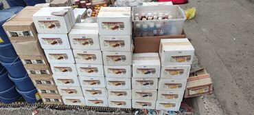 şellak modelleri 2023: Təcilli avropaya getdiyimə bütün evdə olan ayaqqabı kremi, ayaqqabı