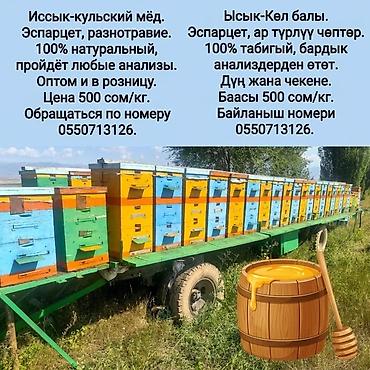 пасеку: Иссык-кульский мёд со своей пасеки . Разнотравие сто процентов — 1