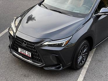 lexus 360: Lexus NX: 2023 г., 2.4 л, Автомат, Бензин, Кроссовер — 6
