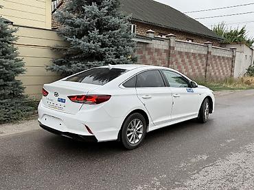 соната элф: Hyundai Sonata: 2020 г., 2 л, Автомат, Газ, Седан — 7