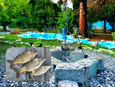 Kuće na prodaju: 145 kv. m, 4 sobe — 5