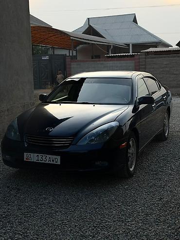 таёта эхо: Lexus ES: 2004 г., 3.3 л, Автомат, Газ, Седан — 1