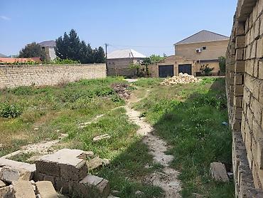mahrasa bagi gence: 6 sot, Kənd təsərrüfatı, Mülkiyyətçi, Bələdiyyə — 3