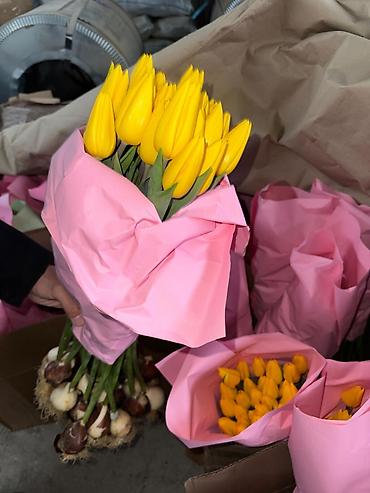 Букеты из живых цветов: Тюльпаны с луковицей Оптом | В розницу - Свежие тюльпаны с крупным — 3