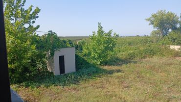 Torpaq sahələrinin satışı: 20 sot, Tikinti, Mülkiyyətçi, Kupça (Çıxarış) — 9
