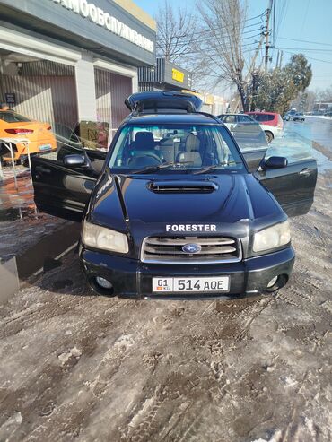 Subaru: Subaru Forester: 2004 г., 2 л, Автомат, Бензин, Кроссовер