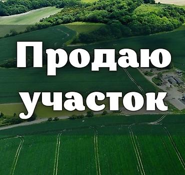 продаю дом раздолные: 15 соток, Для бизнеса, Красная книга — 1