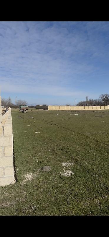 Torpaq sahələrinin satışı: Tikinti — 6