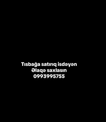 Tısbağa satışı. - Ev üçün sakit və az qayğı tələb edən ev heyvanı. -