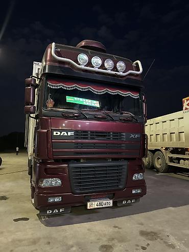 Тягачи: Тягач, DAF, 2006 г., Холодильник, рефрижератор — 11