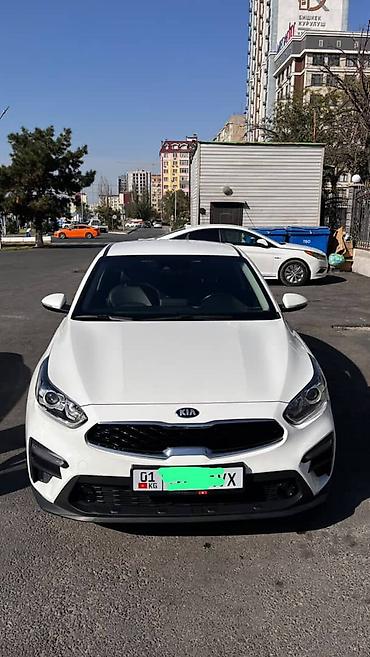 passat cc: Kia K3: 2019 г., 1.6 л, Автомат, Бензин, Седан — 3