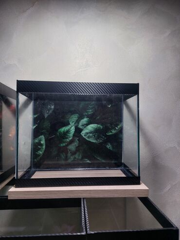 Akvariumlar: Şüşə akvarium – dekorativ fonlu modellər ölçü 30×25×15 Məhsul təsviri — 15