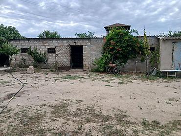 kohne baki: 17 sot, Kənd təsərrüfatı, Kupça (Çıxarış) — 4