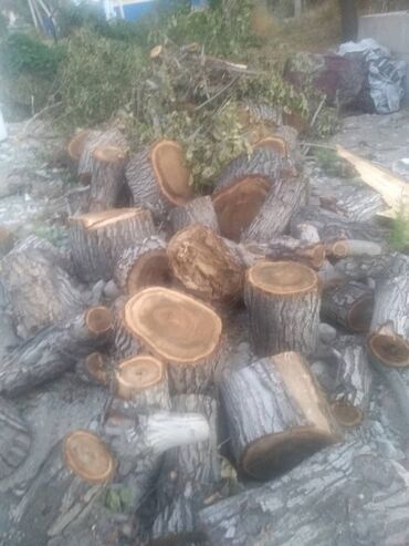 продаю дров: Дрова