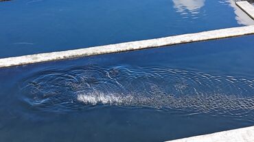 Torpaq sahələrinin satışı: 300 sot, Kənd təsərrüfatı, Mülkiyyətçi, Texniki pasport, Kupça (Çıxarış) — 5