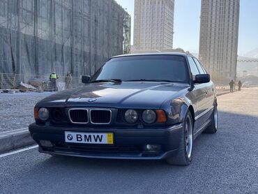 BMW: BMW 5 series: 1994 г., 4.6 л, Механика, Седан — 1