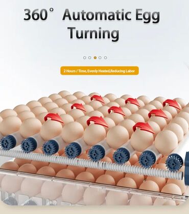 Oprema za kućne ljubimce: INKUBATOR Automatski nove generacije za 400 jaja 12v/220v na lalafo.rs — 11 Oprema za kućne ljubimce: INKUBATOR Automatski nove generacije za 400 jaja 12v/220v — 11