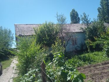 продается дом орловка: Барак, 110 кв. м, 6 бөлмө, Менчик ээси, Косметикалык оңдоо