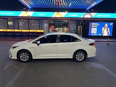 leopard 3: Toyota Corolla: 2019 г., Гибрид, Седан — 4