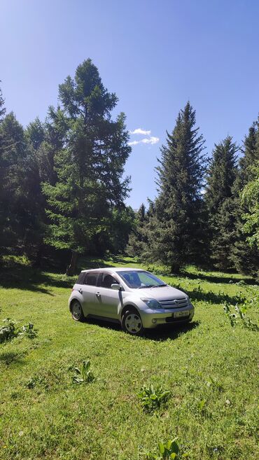 Toyota: Toyota ist: 2002 г., 1.5 л, Автомат, Бензин, Хэтчбэк — 8