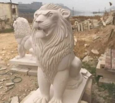 Удобрения: Zərif naxışlı, ağ rəngli, dayanıqlı materialdan hazırlanmış bu bağ