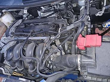 nova krila golf 4: MOTOR 1.6 BENZ ZA FORD FIESTA OD 2014. DO 2017. GOD. | SMEDEREVSKA — 2