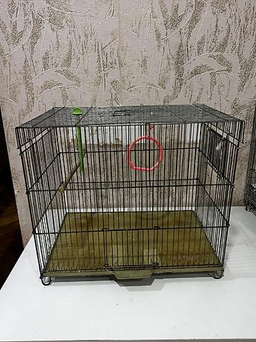 taxta qəfəs: Quş qəfəsi – iri ölçülü, metal barmaqlı konstruksiya.Qefes satılır - — 1