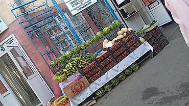 клетки для кур: Арбузы В розницу — 1