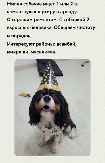 аренда квартир на долгий срок не дорого: 1 комната, Собственник, Без подселения, С мебелью полностью