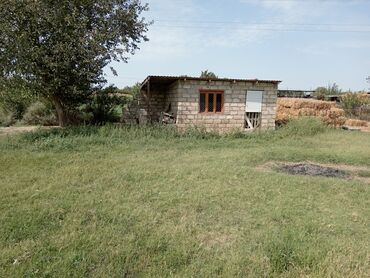 8 sot, Kupça (Çıxarış), Texniki pasport
