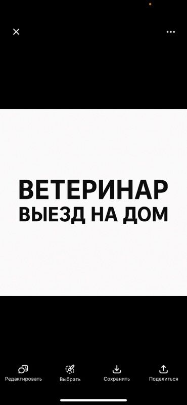 вет аптеки: Предлагаются услуги ветеринара с выездом на дом. Удобное решение для