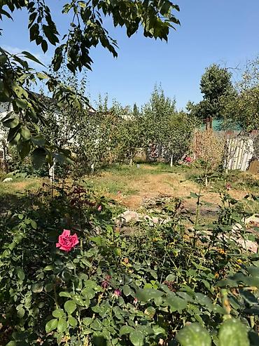 Жер тилкелерин сатуу: 🌿 Продаётся дом с большим ухоженным участком — 4,25 сотки 📍 Байтик — 8