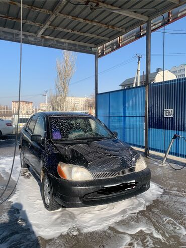 tayota echo: Toyota Vitz / Platz / Yaris / Echo: 2001 г., 1.5 л, Автомат, Бензин, Седан