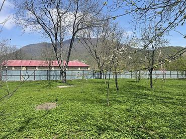 sans tibb merkezi gence: 10 sot, Biznes üçün, Mülkiyyətçi, Kupça (Çıxarış) — 1