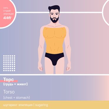 эпиляция на дом: Торс (грудь + живот) шугаринг мужские услуги в сети студий эпиляции La