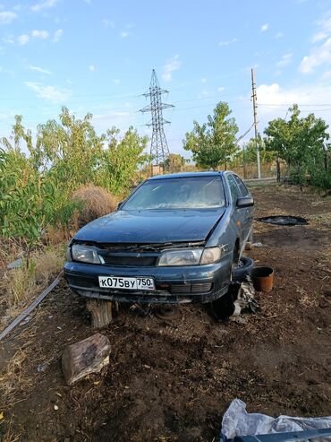 шины для нива: Nissan Almera: 1997 г., 1.6 л, Механика, Бензин, Седан