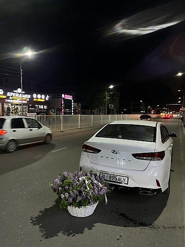 Hyundai: Hyundai Sonata: 2018 г., Седан — 2