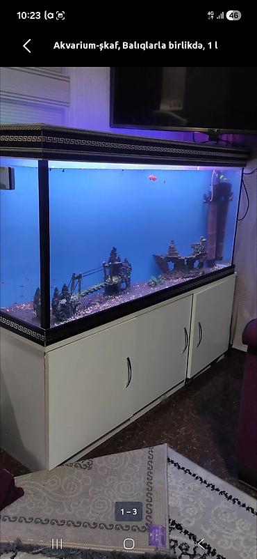 syomqa baliq: Akvarium-şkaf, Balıqlarla birlikdə, 250 l, Ünvandan götürmə — 2