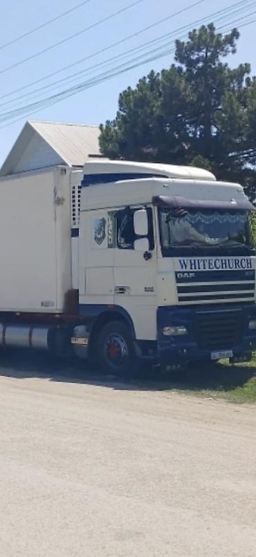 белорус 82 1: Сүйрөгүч, DAF, 2012 г., Муздаткыч, рефрижератор — 1