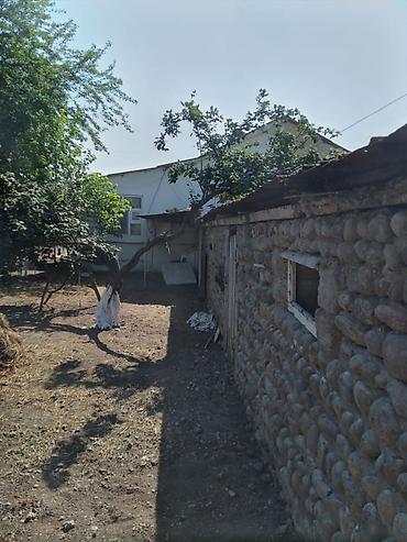 Uzunmüddətli kirayə evlər: 65 kv. m, 3 otaqlı -da lalafo.az — 7 Uzunmüddətli kirayə evlər: 65 kv. m, 3 otaqlı — 7