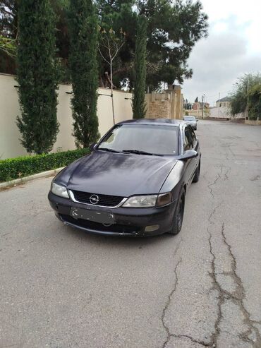 Opel Vectra: 2 l | 1998 il 655555 km Sedan