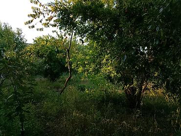 Həyət evləri və villaların satışı: 2 otaqlı, 80 kv. m, Təmirsiz — 11
