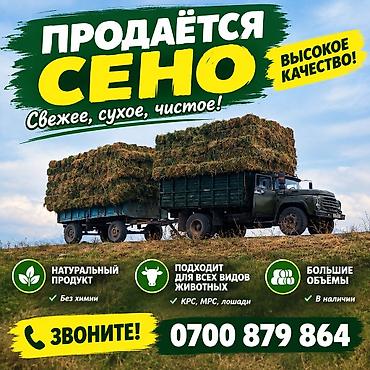тук сена: СЕНО — свежее, сухое, чистое. Высокое качество. Особенности: - — 1