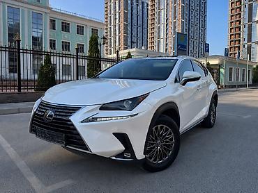 лехус нх 300: Lexus NX: 2020 г., 2 л, Автомат, Бензин, Кроссовер — 1