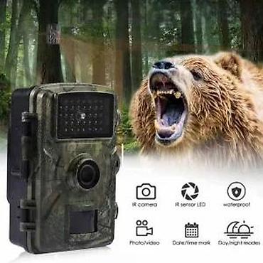 led brojevi: Lovna kamera sa PIR senzorom pokreta i noćnim snimanjem - Neupadljivo — 2