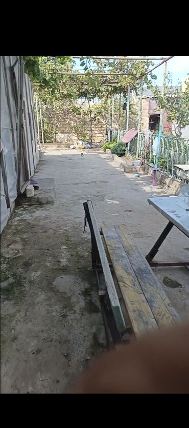 Boçkalar və çəlləklər: Bağ sahəsi və istixana kompleksi - Geniş həyət: beton örtüklü və