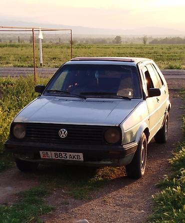 sprinter tdi: Volkswagen Golf: 1991 г., 1.8 л, Механика, Газ, Хэтчбэк — 1