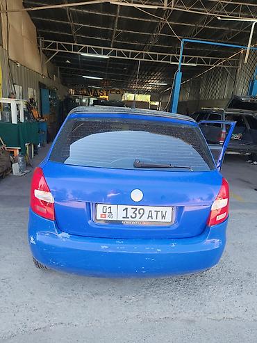 e6 3: Skoda Fabia: 2007 г., Механика, Бензин, Хэтчбэк — 2