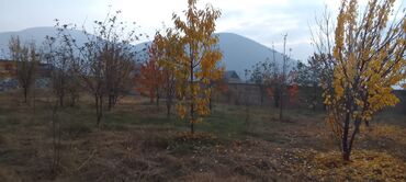 Torpaq sahələrinin satışı: 10 sot, Tikinti, Mülkiyyətçi — 6