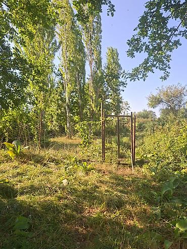 corat torpaq: 3 otaqlı, 45 kv. m, Təmirsiz — 6